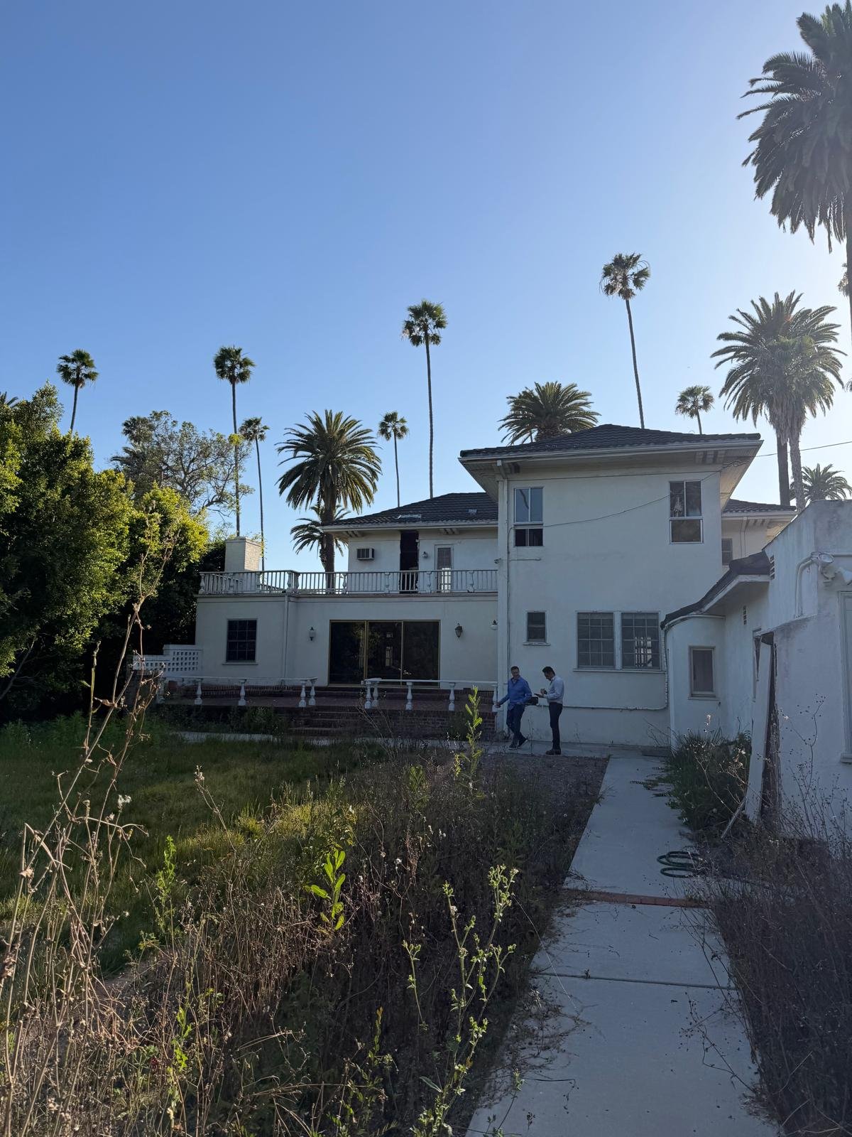 Existing estate from the garden